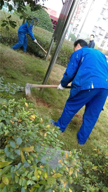 保潔綠化服務